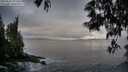 ./images/koeye/fitz-hugh/20250531/fitz-hugh20250531_071010M.jpg