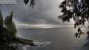 ./images/koeye/fitz-hugh/20250531/fitz-hugh20250531_074508M.jpg