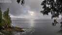 ./images/koeye/fitz-hugh/20250531/fitz-hugh20250531_075510M.jpg