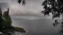 ./images/koeye/fitz-hugh/20250531/fitz-hugh20250531_081011M.jpg