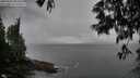 ./images/koeye/fitz-hugh/20250531/fitz-hugh20250531_082510M.jpg