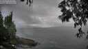 ./images/koeye/fitz-hugh/20250531/fitz-hugh20250531_083011M.jpg