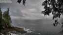 ./images/koeye/fitz-hugh/20250531/fitz-hugh20250531_083510M.jpg