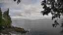 ./images/koeye/fitz-hugh/20250531/fitz-hugh20250531_084010M.jpg