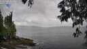 ./images/koeye/fitz-hugh/20250531/fitz-hugh20250531_084510M.jpg