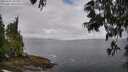 ./images/koeye/fitz-hugh/20250531/fitz-hugh20250531_085010M.jpg