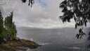 ./images/koeye/fitz-hugh/20250531/fitz-hugh20250531_085509M.jpg