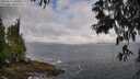 ./images/koeye/fitz-hugh/20250531/fitz-hugh20250531_090011M.jpg