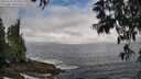 ./images/koeye/fitz-hugh/20250531/fitz-hugh20250531_091010M.jpg