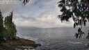 ./images/koeye/fitz-hugh/20250531/fitz-hugh20250531_091509M.jpg