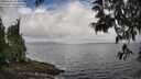 ./images/koeye/fitz-hugh/20250531/fitz-hugh20250531_093011M.jpg