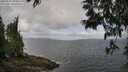 ./images/koeye/fitz-hugh/20250531/fitz-hugh20250531_094010M.jpg
