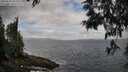 ./images/koeye/fitz-hugh/20250531/fitz-hugh20250531_094511M.jpg