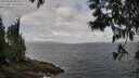 ./images/koeye/fitz-hugh/20250531/fitz-hugh20250531_095009M.jpg