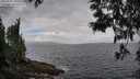 ./images/koeye/fitz-hugh/20250531/fitz-hugh20250531_095510M.jpg