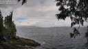 ./images/koeye/fitz-hugh/20250531/fitz-hugh20250531_100012M.jpg