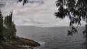 ./images/koeye/fitz-hugh/20250531/fitz-hugh20250531_101511M.jpg