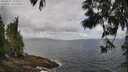 ./images/koeye/fitz-hugh/20250531/fitz-hugh20250531_102509M.jpg