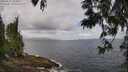 ./images/koeye/fitz-hugh/20250531/fitz-hugh20250531_103011M.jpg