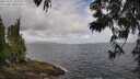 ./images/koeye/fitz-hugh/20250531/fitz-hugh20250531_103510M.jpg
