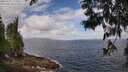 ./images/koeye/fitz-hugh/20250531/fitz-hugh20250531_110011M.jpg