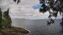 ./images/koeye/fitz-hugh/20250531/fitz-hugh20250531_111011M.jpg