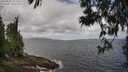 ./images/koeye/fitz-hugh/20250531/fitz-hugh20250531_111511M.jpg