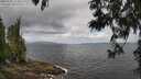 ./images/koeye/fitz-hugh/20250531/fitz-hugh20250531_113011M.jpg