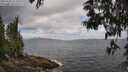 ./images/koeye/fitz-hugh/20250531/fitz-hugh20250531_113510M.jpg