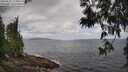 ./images/koeye/fitz-hugh/20250531/fitz-hugh20250531_114010M.jpg