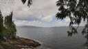 ./images/koeye/fitz-hugh/20250531/fitz-hugh20250531_122510M.jpg