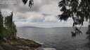 ./images/koeye/fitz-hugh/20250531/fitz-hugh20250531_123510M.jpg