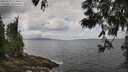 ./images/koeye/fitz-hugh/20250531/fitz-hugh20250531_124010M.jpg