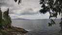 ./images/koeye/fitz-hugh/20250531/fitz-hugh20250531_125010M.jpg