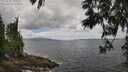 ./images/koeye/fitz-hugh/20250531/fitz-hugh20250531_125510M.jpg