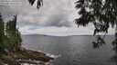 ./images/koeye/fitz-hugh/20250531/fitz-hugh20250531_130510M.jpg