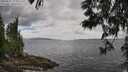 ./images/koeye/fitz-hugh/20250531/fitz-hugh20250531_132009M.jpg