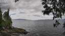 ./images/koeye/fitz-hugh/20250531/fitz-hugh20250531_132509M.jpg