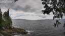 ./images/koeye/fitz-hugh/20250531/fitz-hugh20250531_134010M.jpg