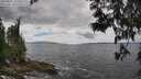 ./images/koeye/fitz-hugh/20250531/fitz-hugh20250531_134511M.jpg