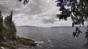 ./images/koeye/fitz-hugh/20250531/fitz-hugh20250531_135010M.jpg