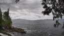 ./images/koeye/fitz-hugh/20250531/fitz-hugh20250531_142508M.jpg
