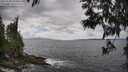 ./images/koeye/fitz-hugh/20250531/fitz-hugh20250531_143011M.jpg