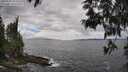 ./images/koeye/fitz-hugh/20250531/fitz-hugh20250531_143510M.jpg