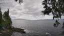 ./images/koeye/fitz-hugh/20250531/fitz-hugh20250531_144010M.jpg