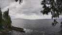 ./images/koeye/fitz-hugh/20250531/fitz-hugh20250531_144510M.jpg