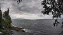 ./images/koeye/fitz-hugh/20250531/fitz-hugh20250531_145010M.jpg