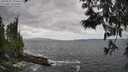 ./images/koeye/fitz-hugh/20250531/fitz-hugh20250531_150011M.jpg