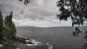 ./images/koeye/fitz-hugh/20250531/fitz-hugh20250531_150509M.jpg