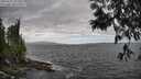 ./images/koeye/fitz-hugh/20250531/fitz-hugh20250531_151511M.jpg